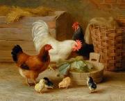 unknow artist Cocks 106 oil painting reproduction